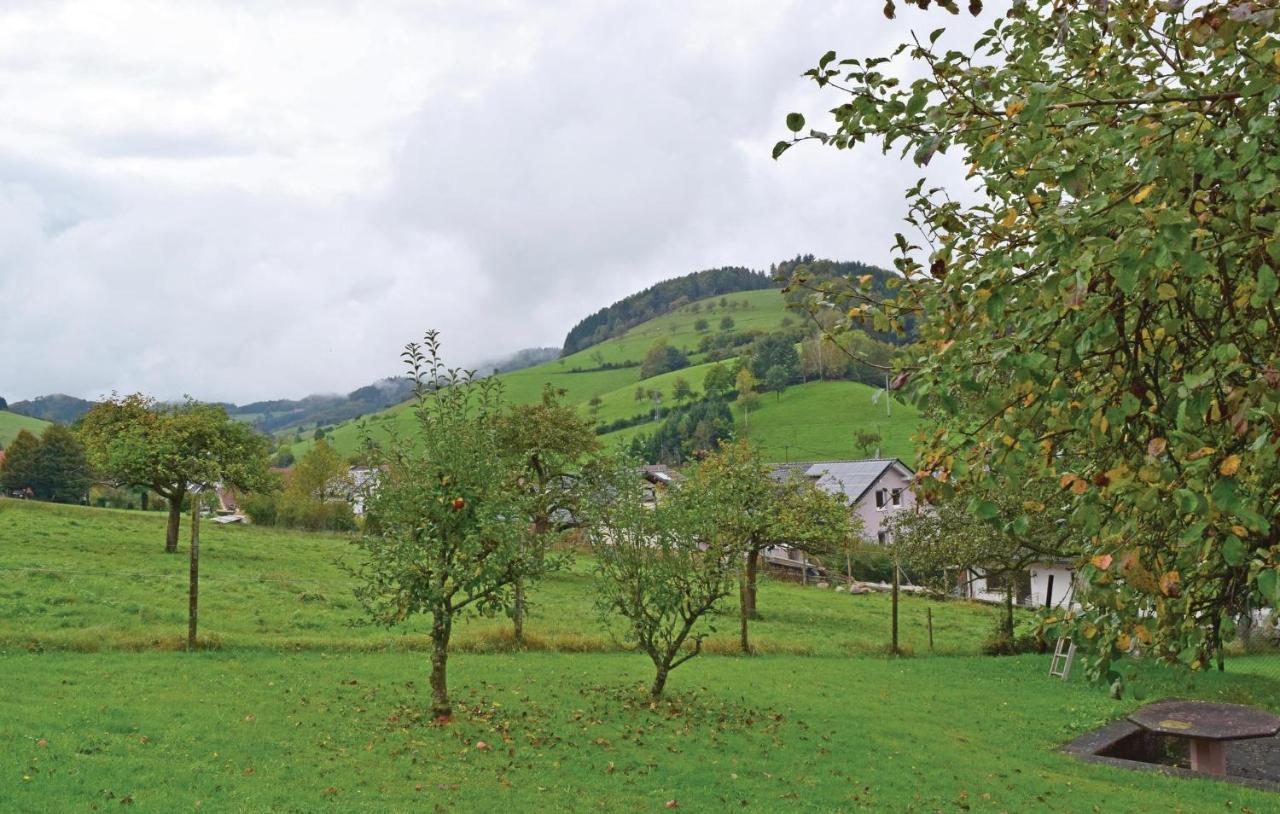 2 Bedroom Awesome Apartment In Welschensteinach Buitenkant foto